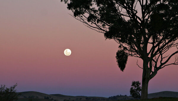 Khám phá các giai đoạn trong chu kỳ của Mặt Trăng
