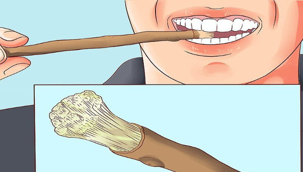 Trước khi có bàn chải đánh răng, người xưa đã làm sạch răng như thế nào?