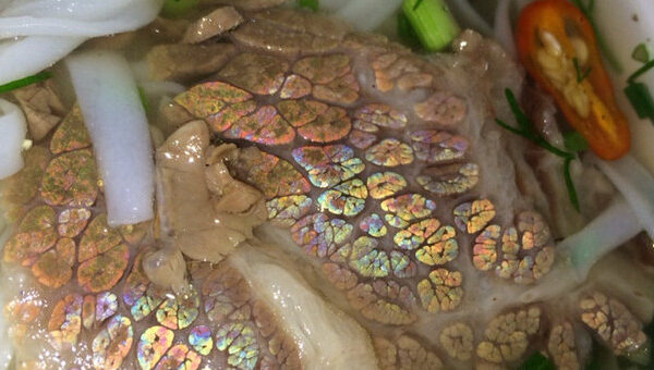 Vì sao có những miếng thịt bò lại ánh lên màu 7 sắc cầu vồng?