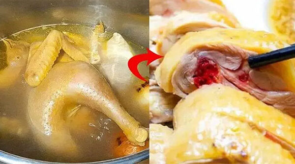 Vì sao thịt gà luộc mãi vẫn đỏ?