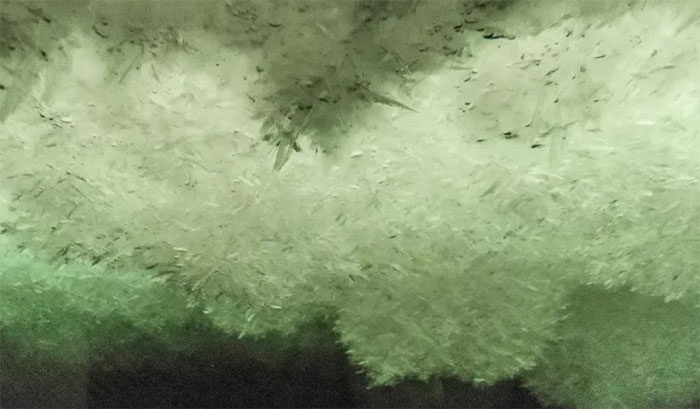 Băng frazil ở Nam Cực