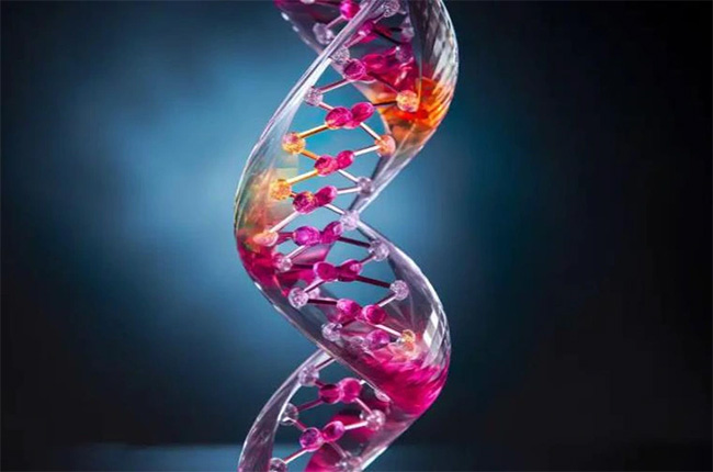 Mô hình "khung xương" của vật liệu mới làm bằng DNA và thủy tinh