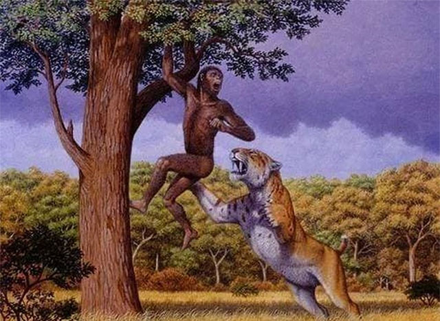  Chúng ta phải luôn cảnh giác trước sự tấn công của những kẻ săn mồi như mèo