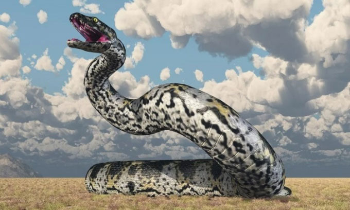 Titanoboa có thể lớn ngang khủng long bạo chúa T-Rex.