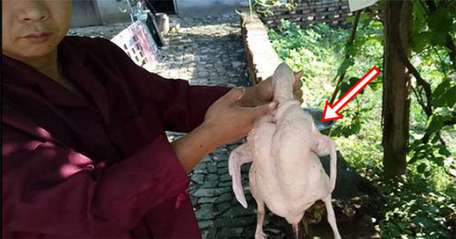 Mổ vịt bất ngờ đụng trúng “vật thể lạ trong suốt”, tưởng đồ bỏ hóa ra giá hơn 300 tỷ